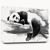 Panda bear wall art design printed on acrylic glass, showcasing a vibrant side view with decorative pins for easy hanging, perfect for modern home decor.