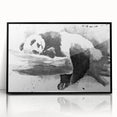 Framed acrylic wall art featuring a playful panda bear design, set against a sleek black background, perfect for children's room decor and contemporary art enthusiasts.