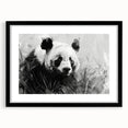Panda bear wall art design in a black frame with mat, showcasing playful panda illustrations against a white background, ideal for children's decor and animal lovers.