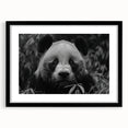Black-framed wall art featuring a playful panda bear design, ideal for children's room decor, showcasing vibrant colors and a whimsical style.