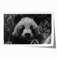 Panda bear wall art print showcasing a whimsical design with vibrant colors, rolled and ready for framing, perfect for children's room decor or playful spaces.