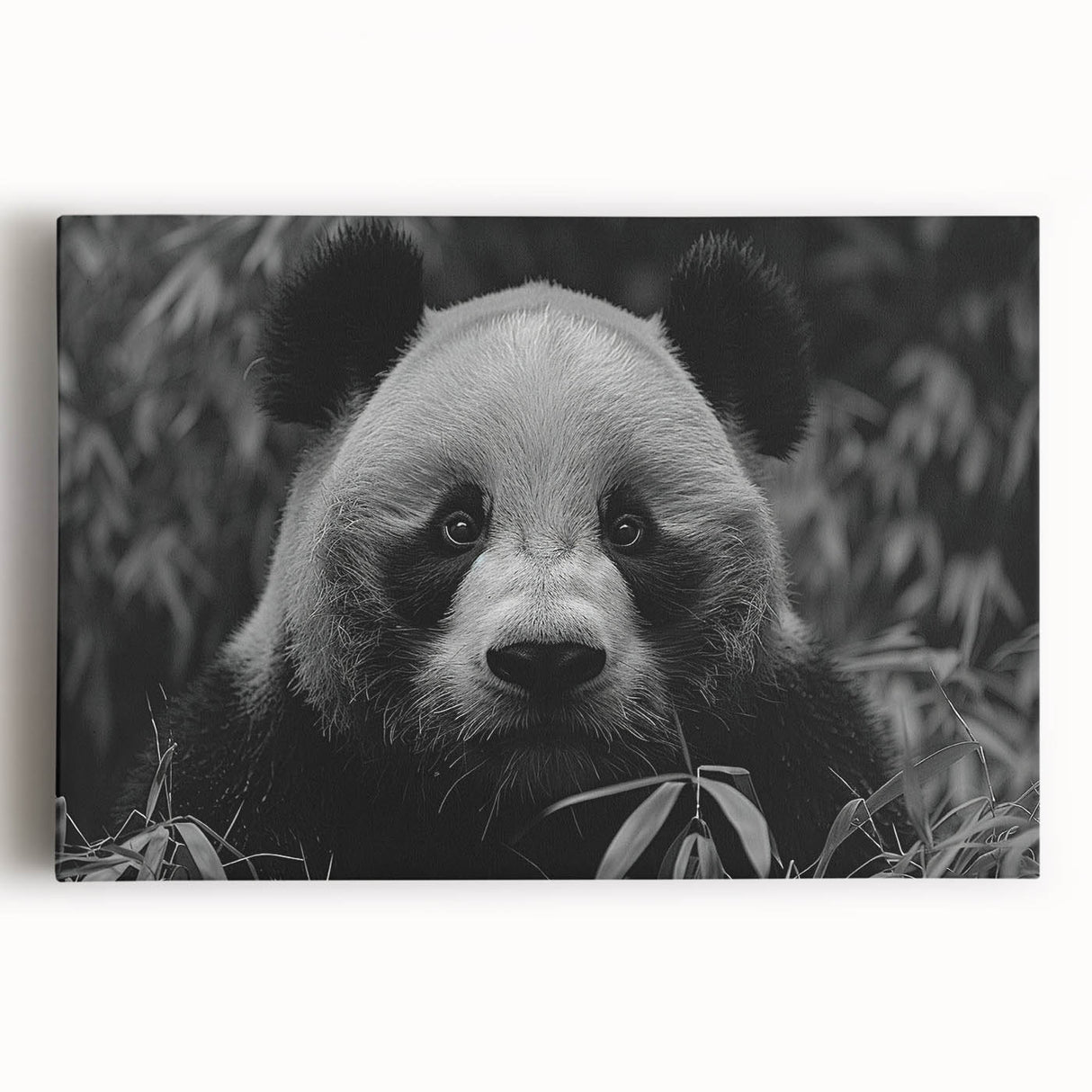 Stretched canvas wall art featuring a playful panda bear design, showcasing vibrant colors and a whimsical style, perfect for children's rooms or nurseries.