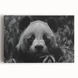 Stretched canvas wall art featuring a playful panda bear design, showcasing vibrant colors and a whimsical style, perfect for children's rooms or nurseries.