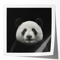 Colorful panda bear wall art design on glossy canvas print, showcasing vibrant colors and playful elements, ideal for children's room decor or animal lovers.
