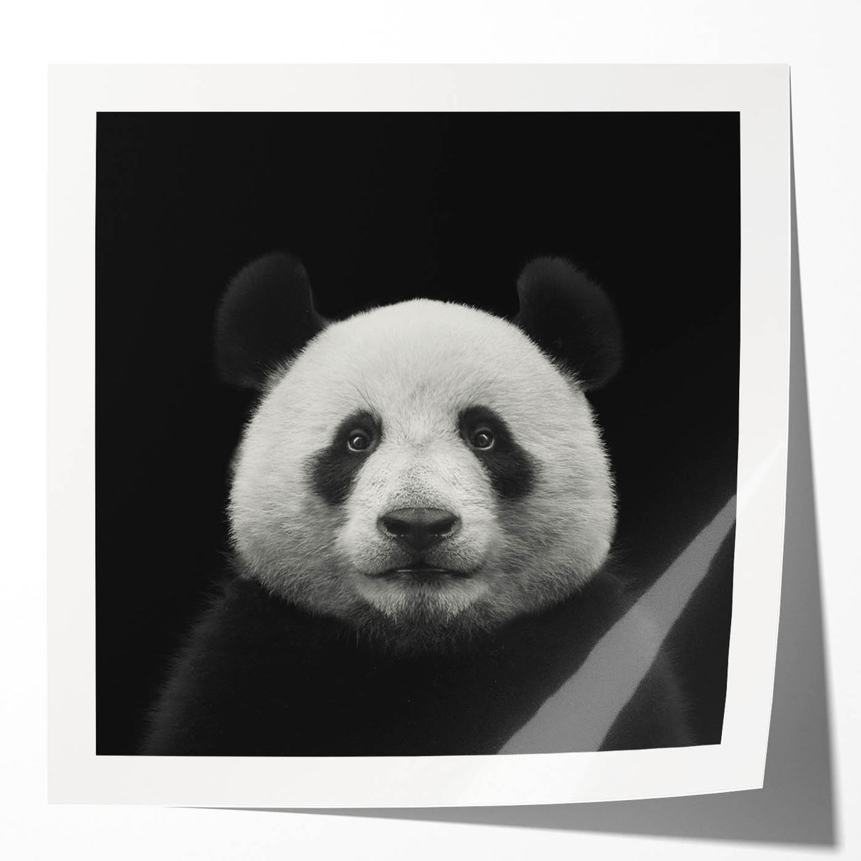 Colorful panda bear wall art design on glossy canvas print, showcasing vibrant colors and playful elements, ideal for children's room decor or animal lovers.