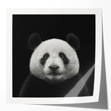 Colorful panda bear wall art design on glossy canvas print, showcasing vibrant colors and playful elements, ideal for children's room decor or animal lovers.