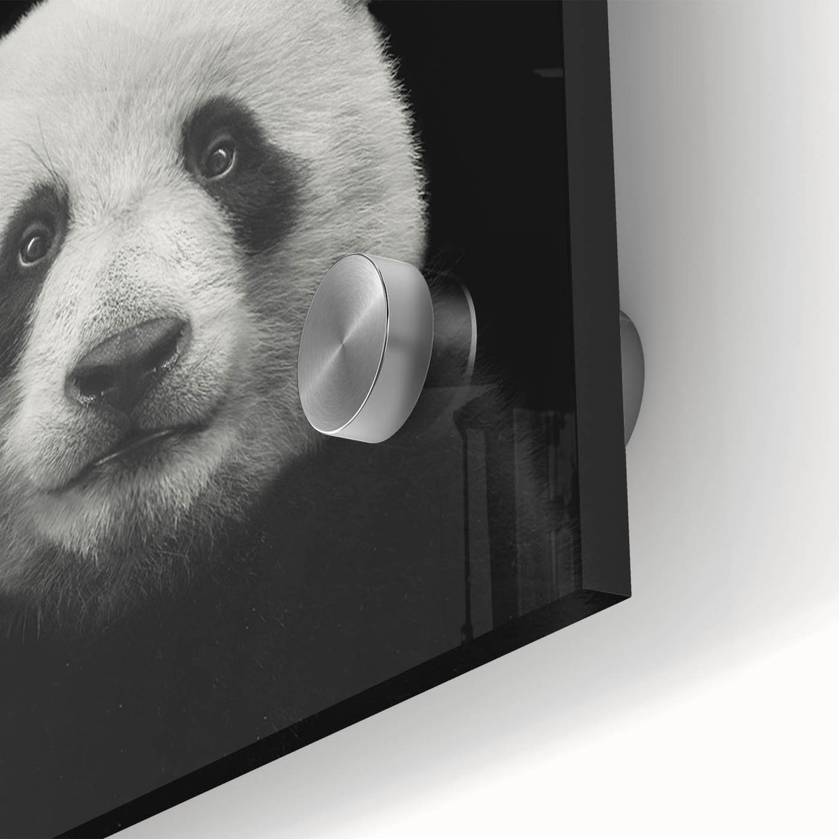 Close-up of a vibrant panda bear wall art design printed on acrylic glass, showcasing intricate details and vivid colors, perfect for modern home decor.