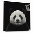 Acrylic glass wall art featuring a playful panda bear design, showcasing vibrant colors and detailed illustrations, perfect for children's room decor.