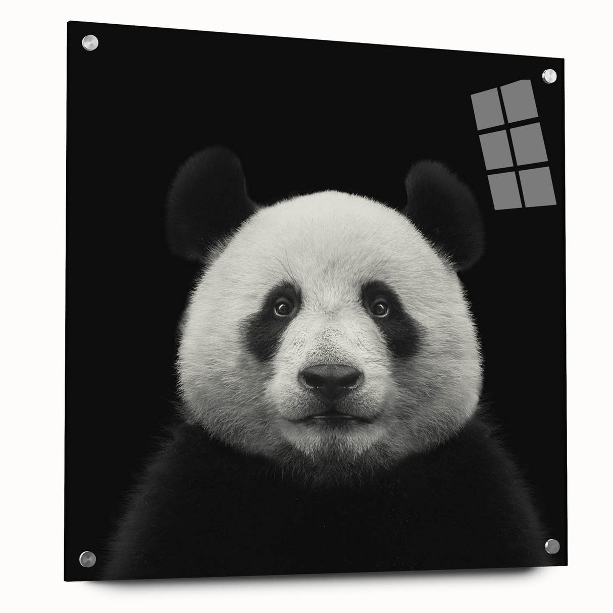 Acrylic glass wall art featuring a playful panda bear design, showcasing vibrant colors and detailed illustrations, perfect for children's room decor.