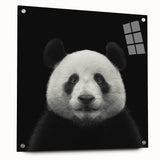 Acrylic glass wall art featuring a playful panda bear design, showcasing vibrant colors and detailed illustrations, perfect for children's room decor.