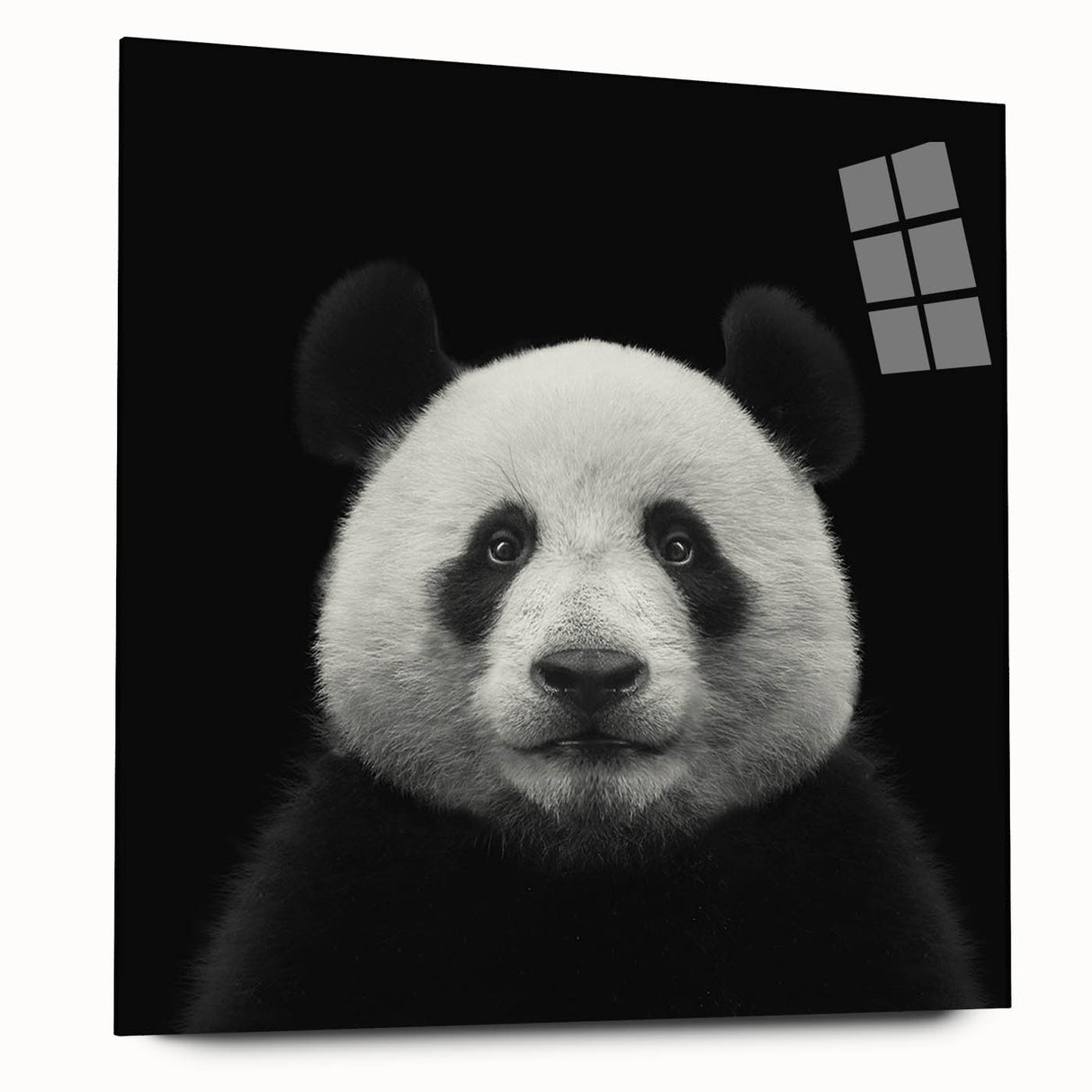 Acrylic glass wall art featuring a playful panda bear design, showcasing vibrant colors and detailed illustrations, perfect for children's rooms or playful decor.