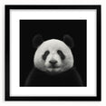 Framed black wall art featuring a whimsical panda bear design, complete with a white mat, ideal for children's rooms or playful decor themes.