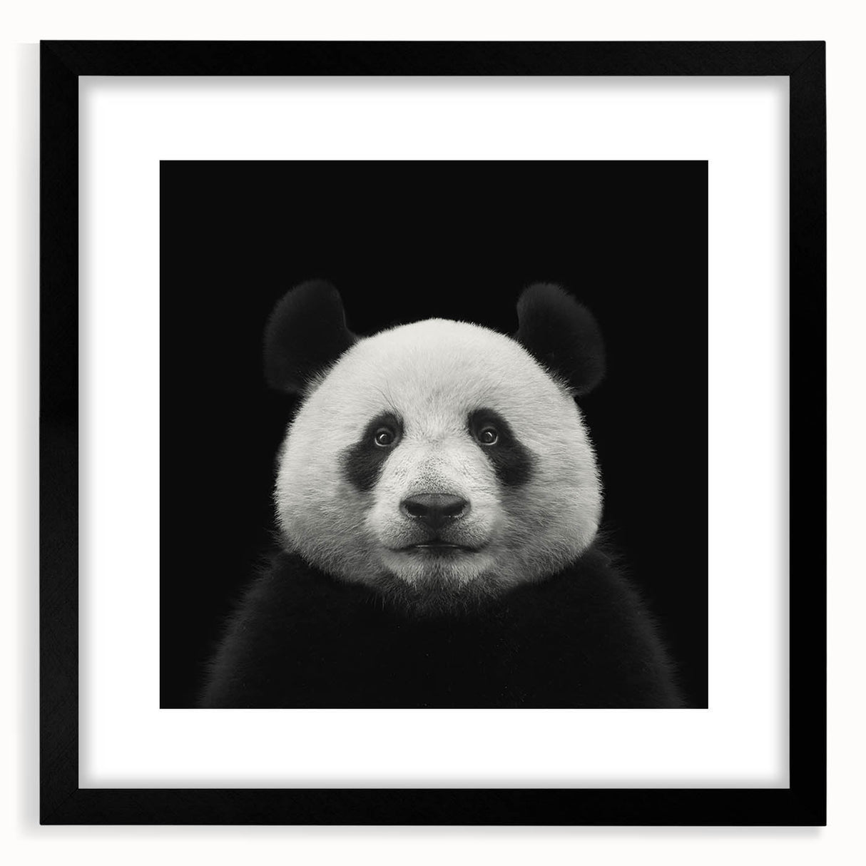 Framed black wall art featuring a whimsical panda bear design, complete with a white mat, ideal for children's rooms or playful decor themes.