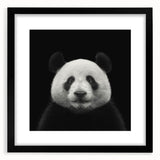 Framed black wall art featuring a whimsical panda bear design, complete with a white mat, ideal for children's rooms or playful decor themes.