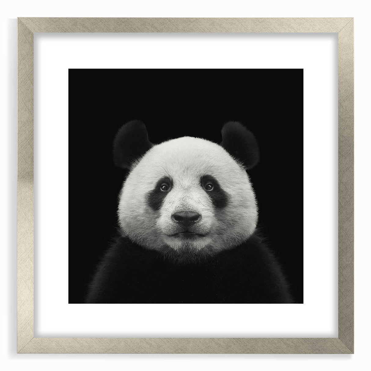 Framed panda bear wall art design with a silver mat, showcasing a playful panda illustration against a minimalist background, perfect for nursery decor.
