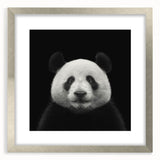 Framed panda bear wall art design with a silver mat, showcasing a playful panda illustration against a minimalist background, perfect for nursery decor.