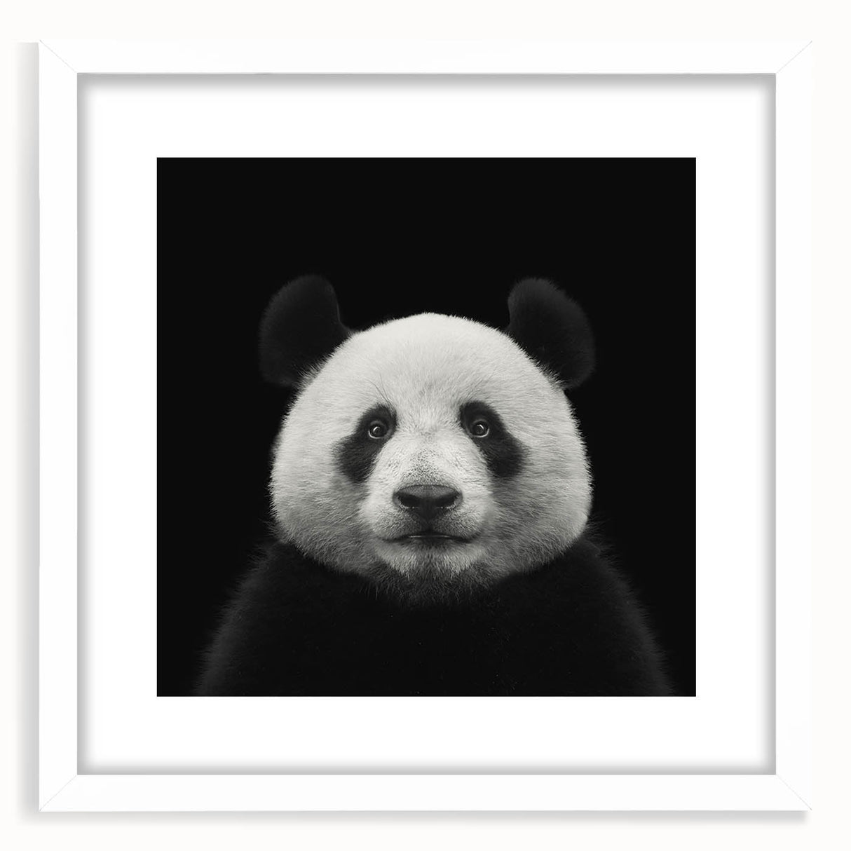 Framed wall art featuring a cute panda design with a white mat, perfect for children's room decor, showcasing playful and vibrant colors.