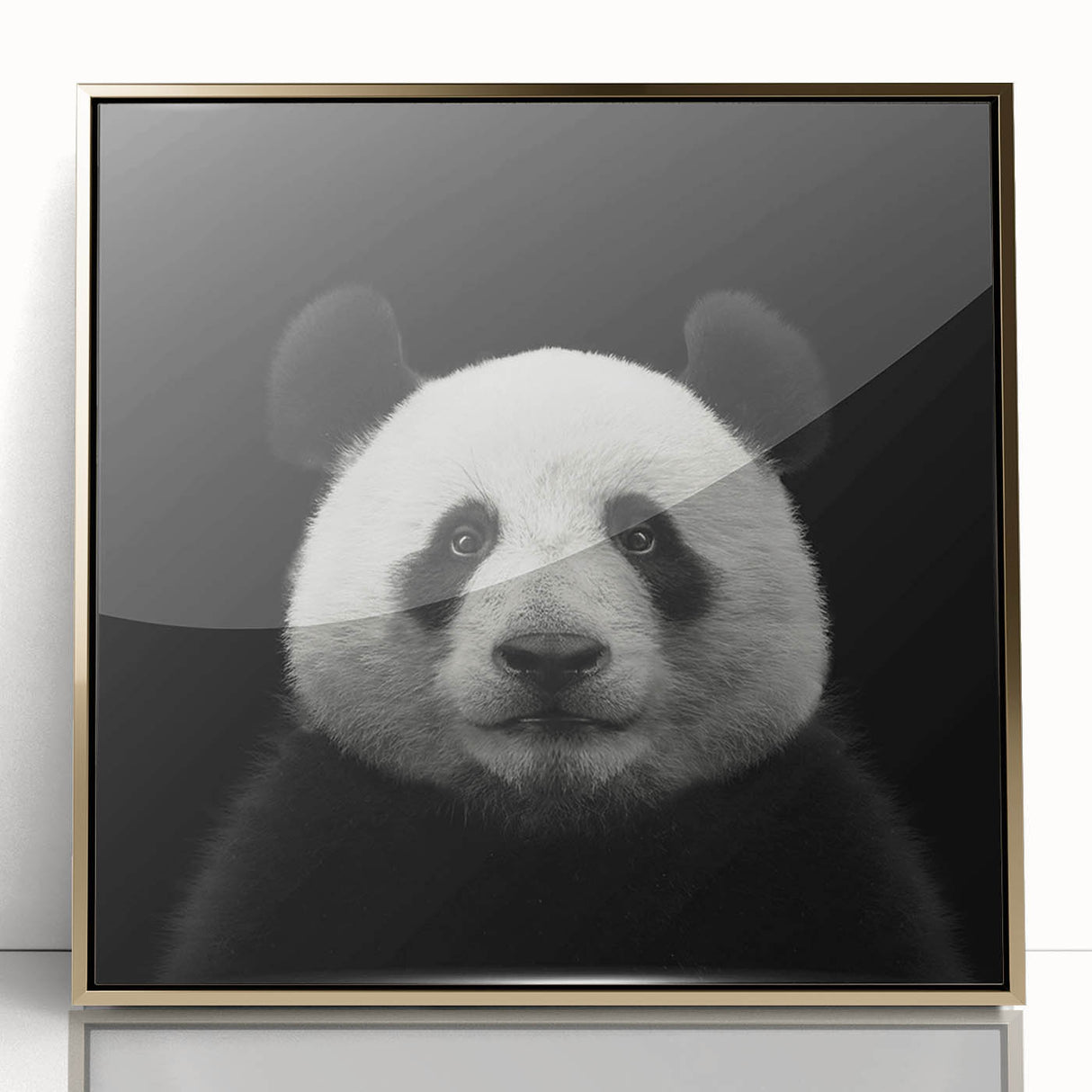 Framed wall art showcasing a vibrant panda bear design with gold accents, set against a sleek acrylic background, perfect for modern decor.