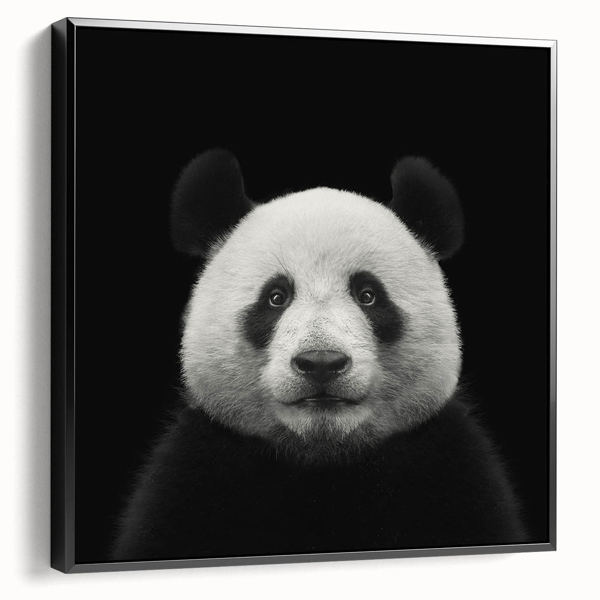 Framed black canvas wall art showcasing a whimsical panda bear design, perfect for children's decor, emphasizing playful colors and unique artistry.