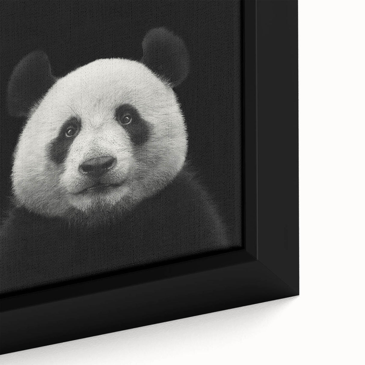 Framed wall art featuring a close-up design of a whimsical panda bear illustration, set against a vibrant background, perfect for children's room decor.