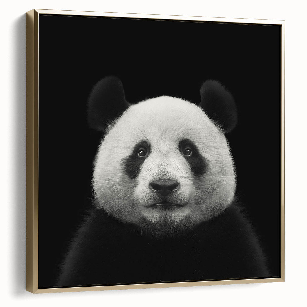Framed wall art featuring a whimsical panda bear design in vibrant colors, accented with gold, showcasing a playful and modern aesthetic ideal for children's rooms.