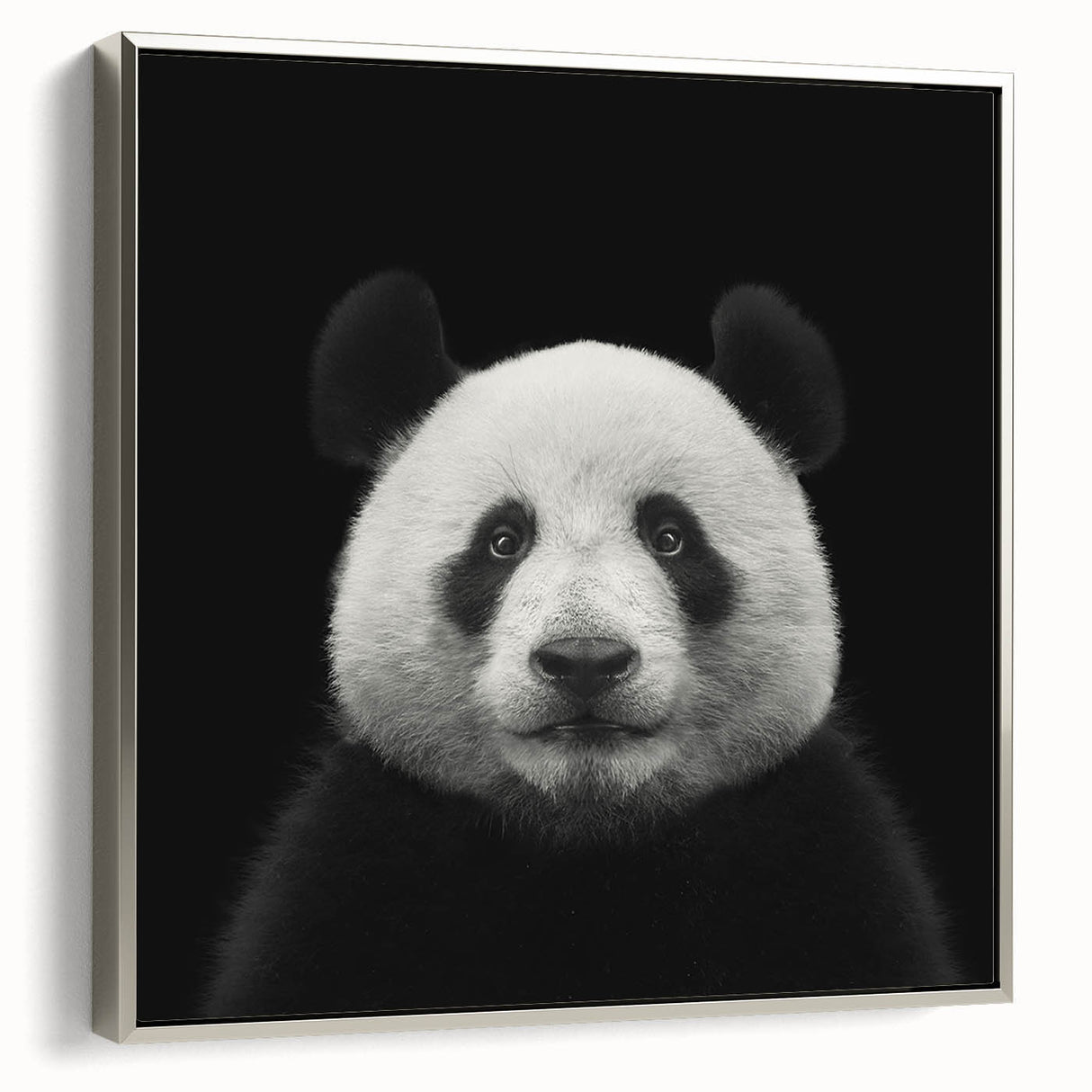 Framed wall art featuring a playful panda bear design on a silver background, showcasing vibrant colors and a modern aesthetic, ideal for children's rooms or nurseries.
