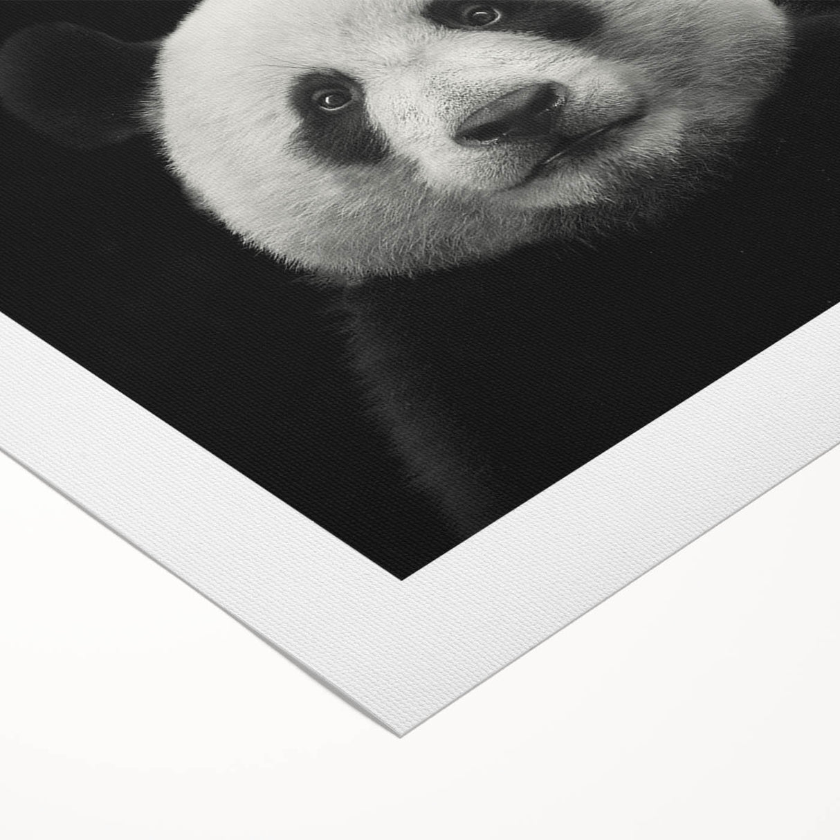 Adorable panda bear wall art design on rolled canvas, showcasing playful expressions and vibrant colors, perfect for children's room decor or nursery themes.