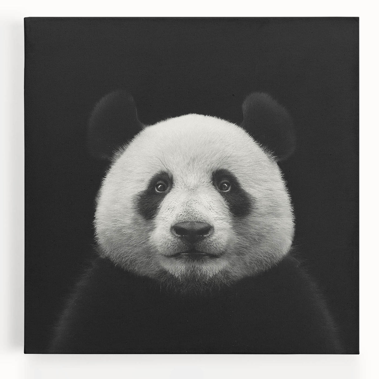 Stretched canvas wall art showcasing a whimsical panda bear design in vibrant colors, perfect for children's room decor, adding playful charm to any space.