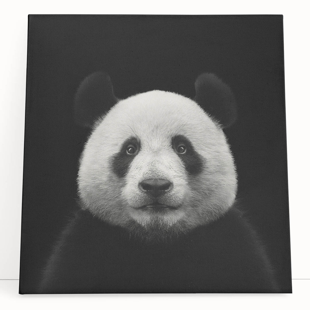 Stretched canvas wall art featuring a whimsical panda bear design, showcasing vibrant colors and playful elements, perfect for children's room decor or playful spaces.