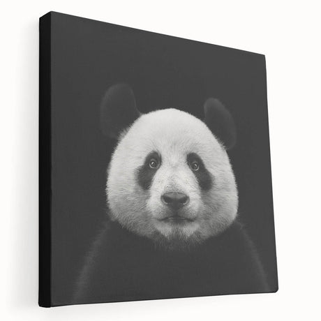 Stretched canvas wall art featuring a playful panda bear design in vibrant colors, showcasing a side view that highlights its detailed illustration and modern aesthetic. Perfect for children's rooms or playful decor.