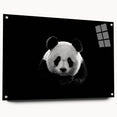 Acrylic glass wall art collection showcasing a bear and panda design in a side view perspective, featuring vibrant colors and a modern aesthetic, perfect for home decor.