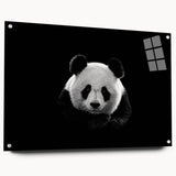 Acrylic glass wall art collection showcasing a bear and panda design in a side view perspective, featuring vibrant colors and a modern aesthetic, perfect for home decor.