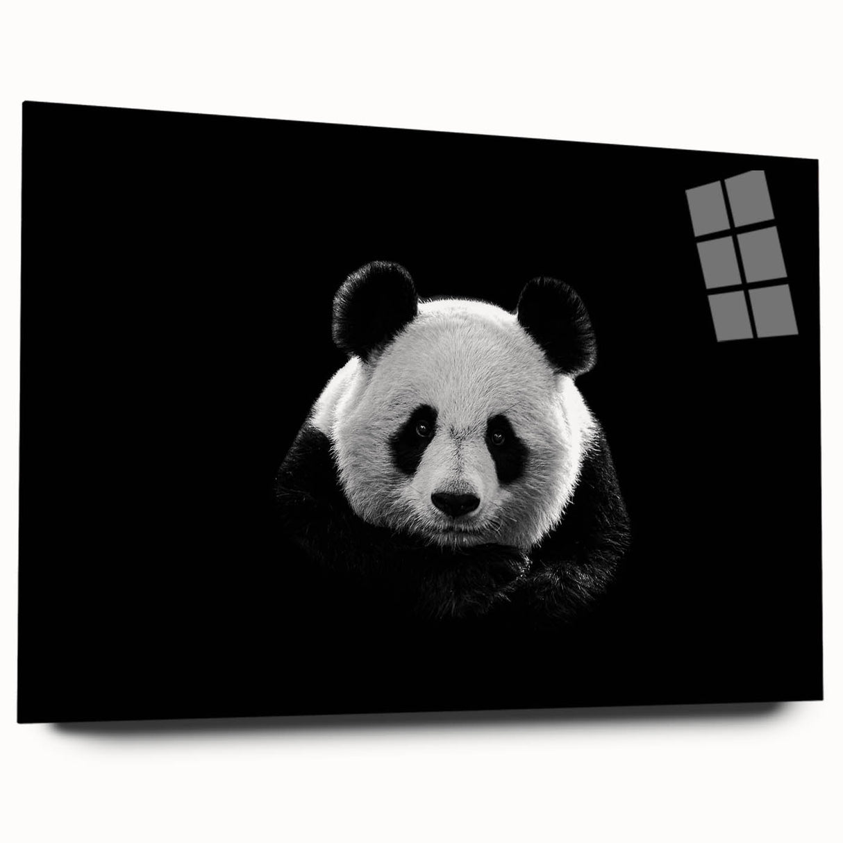 Colorful panda bear wall art collection displayed in acrylic glass, showcasing unique designs and vibrant colors that enhance any modern decor setting.