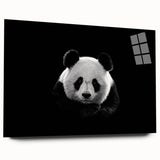 Colorful panda bear wall art collection displayed in acrylic glass, showcasing unique designs and vibrant colors that enhance any modern decor setting.
