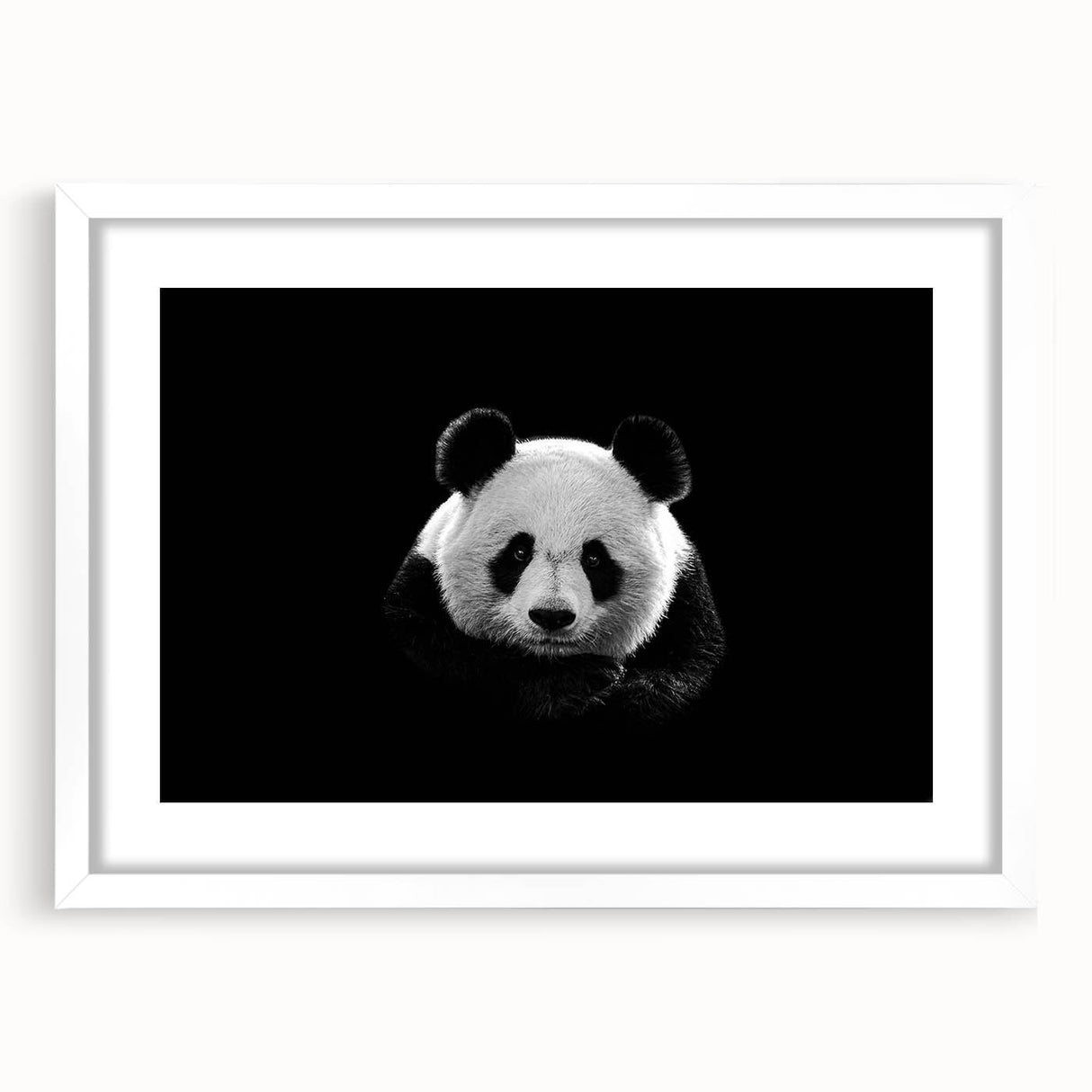 Framed wall art featuring a playful panda bear design, presented in a sleek white frame with a mat, perfect for children's rooms or playful decor.