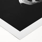 Panda-themed wall art design on rolled canvas, showcasing vibrant colors and intricate details, ideal for children's room decor or animal art enthusiasts.