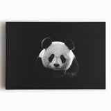 Panda-themed wall art collection showcasing a vibrant, colorful design on stretched canvas, perfect for nursery or children's room decor, featuring playful bear and panda illustrations.