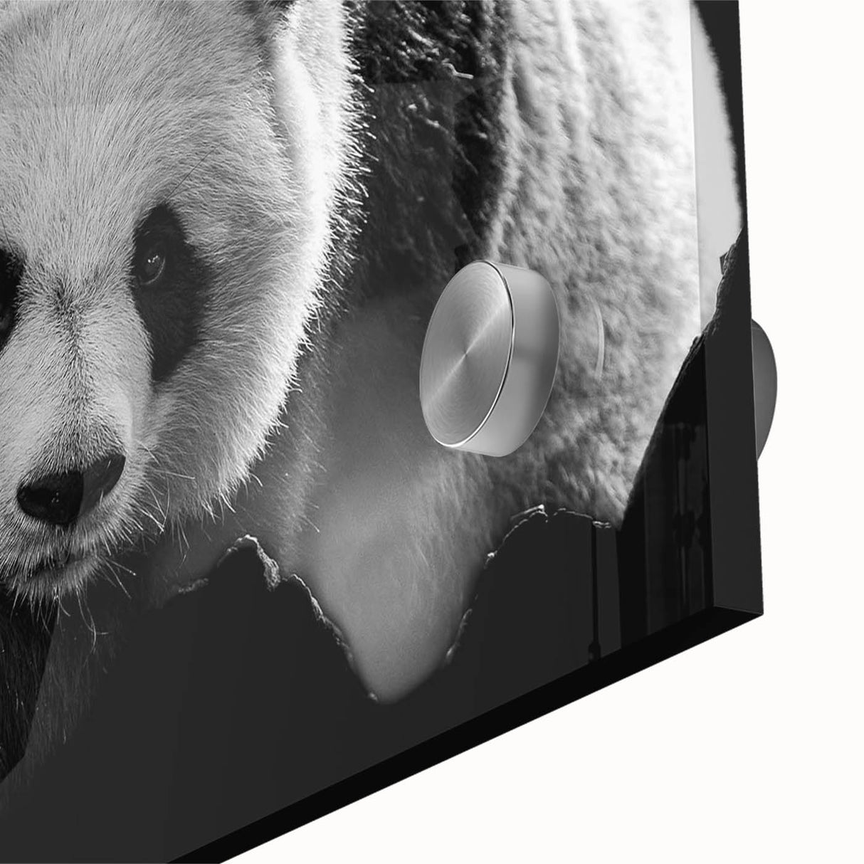 Close-up of a vibrant bear and panda-themed acrylic wall art piece showcasing intricate designs and rich colors, ideal for children's room decor or animal lovers.
