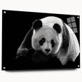 Close-up of a vibrant panda bear wall art design on acrylic glass, showcasing colorful details and a sleek side view with visible mounting pins for easy display.