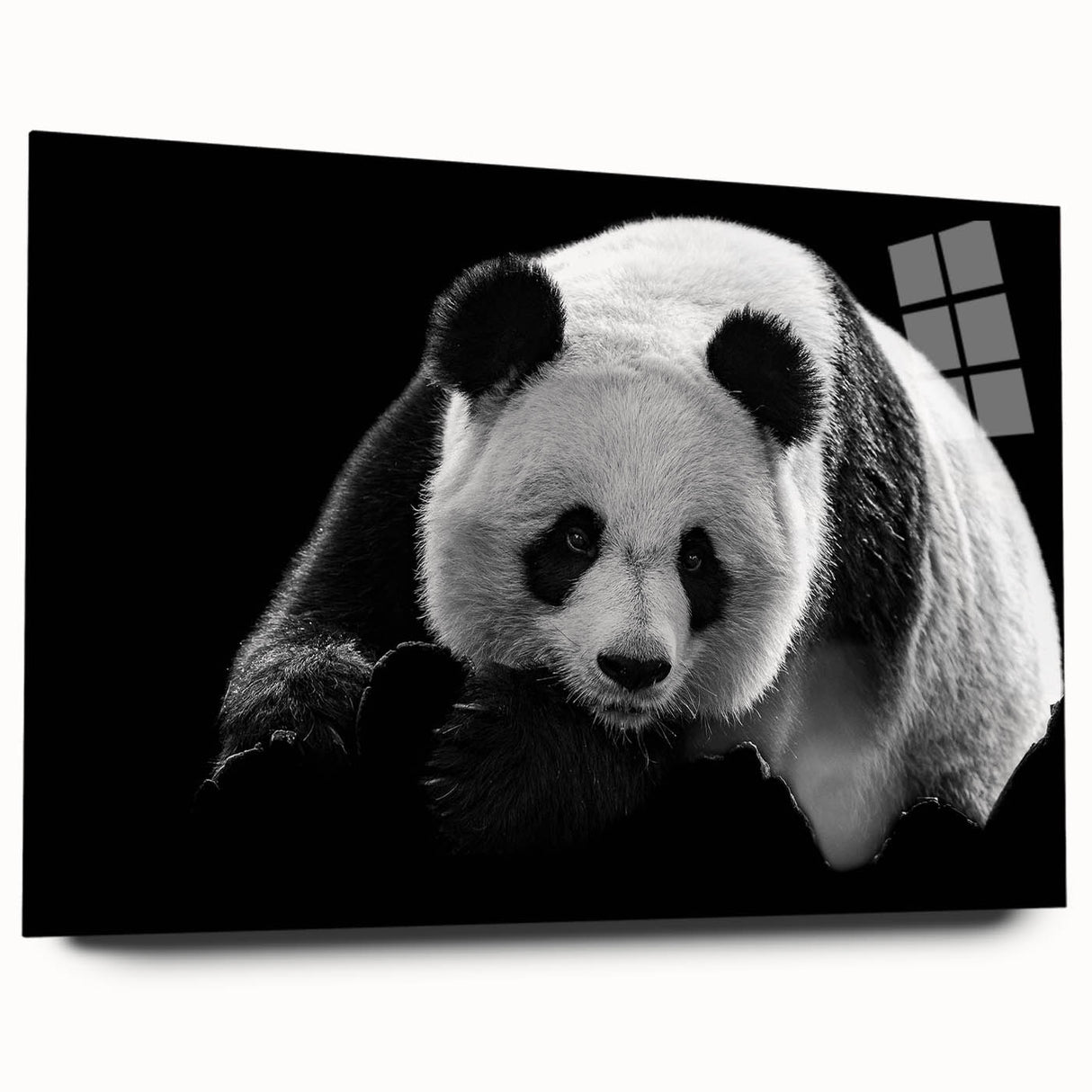 Acrylic glass wall art showcasing a whimsical panda bear design, elegantly displayed from the side to highlight its vibrant colors and sleek finish, perfect for modern decor.