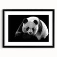 Black-framed wall art featuring a playful panda bear design, showcasing vibrant colors and intricate details, ideal for children's rooms or nurseries.