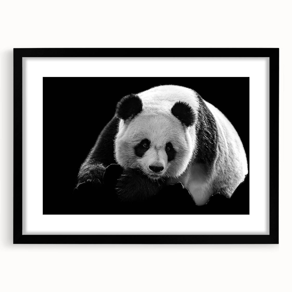 Black-framed wall art featuring a playful panda bear design, showcasing vibrant colors and intricate details, ideal for children's rooms or nurseries.