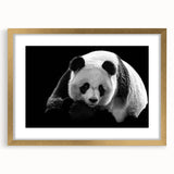 Gold-framed wall art collection featuring a cute panda design, set against a crisp white mat, ideal for nursery or children's room decor. Perfect for animal lovers.