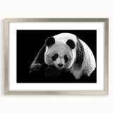 Framed panda bear wall art collection in silver mat, showcasing playful panda illustrations, perfect for children's rooms or animal-themed decor.