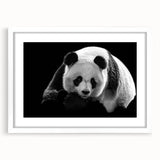 Framed wall art collection featuring a whimsical panda bear design with a white mat, showcasing a playful aesthetic ideal for children's rooms or nursery decor.