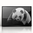 Framed wall art featuring a whimsical panda bear design in vibrant colors, showcasing playful details against a black frame, perfect for children's rooms or playful decor.