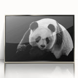 Framed wall art featuring a playful panda bear design with a sleek silver frame, perfect for children's rooms or modern decor, showcasing vibrant colors and whimsical charm.