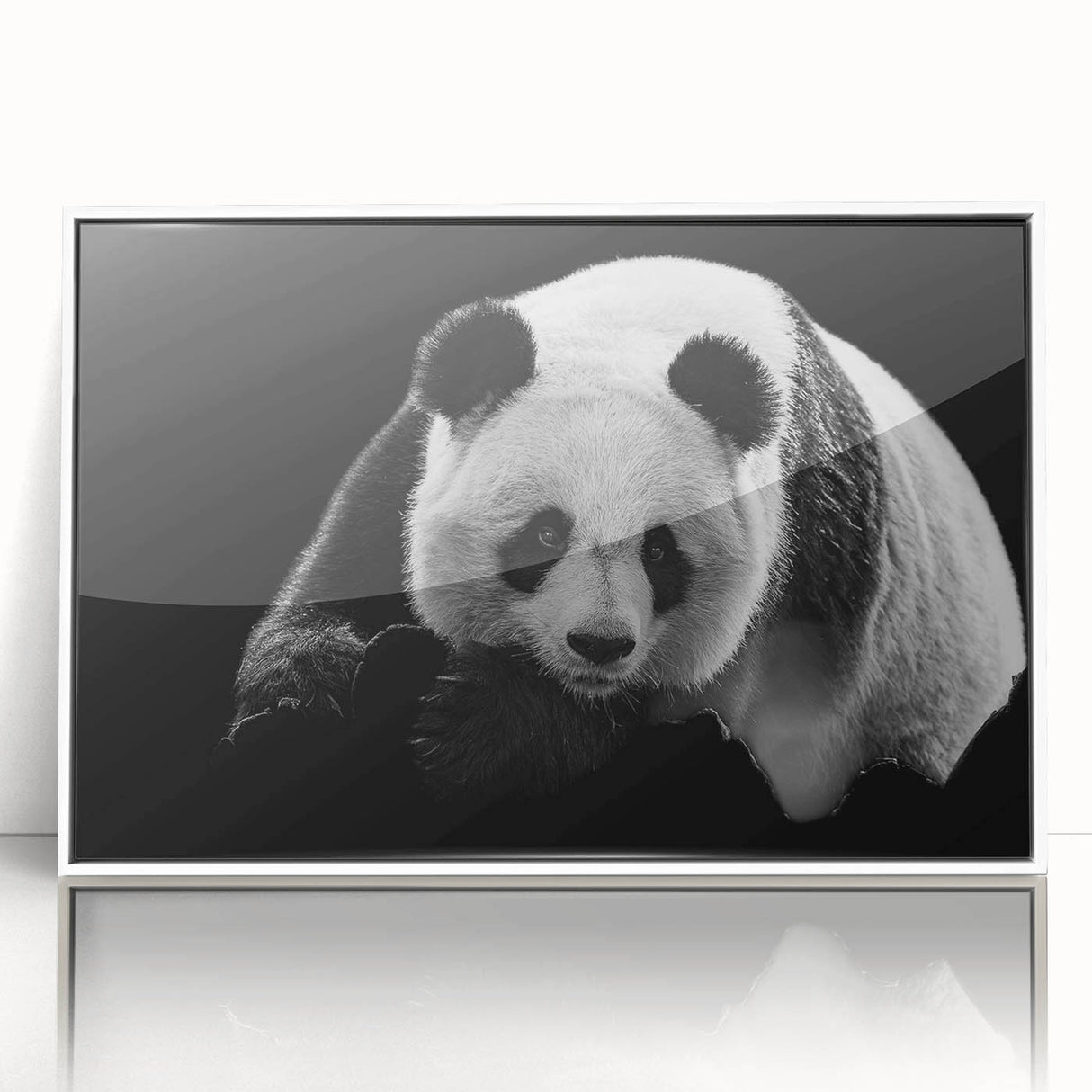 Framed wall art collection featuring a charming bear and panda design, presented in a sleek white frame, ideal for adding a playful touch to contemporary decor.