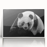 Framed wall art collection featuring a charming bear and panda design, presented in a sleek white frame, ideal for adding a playful touch to contemporary decor.