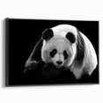Framed wall art collection featuring a panda bear design on a black background, showcasing vibrant colors and intricate details, perfect for children's rooms or playful decor.